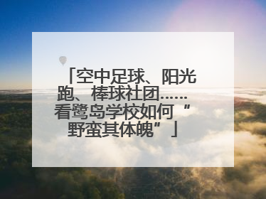 空中足球、阳光跑、棒球社团……看鹭岛学校如何“野蛮其体魄”