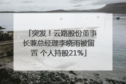 突发！云路股份董事长兼总经理李晓雨被留置 个人持股21%