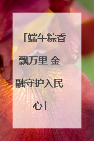 端午粽香飘万里 金融守护入民心