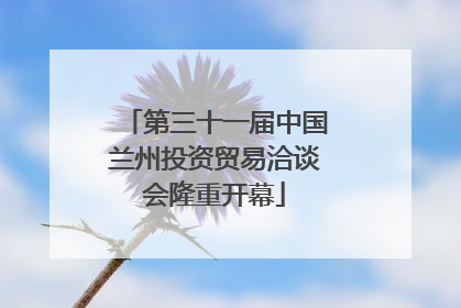 第三十一届中国兰州投资贸易洽谈会隆重开幕