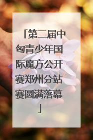 第二届中匈青少年国际魔方公开赛郑州分站赛圆满落幕