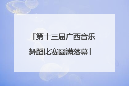 第十三届广西音乐舞蹈比赛圆满落幕