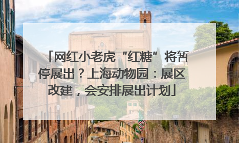 网红小老虎“红糖”将暂停展出？上海动物园：展区改建，会安排展出计划