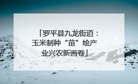 罗平县九龙街道：玉米制种“苗”绘产业兴农新画卷
