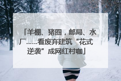 羊棚、猪圈，邮局、水厂……看废弃建筑“花式逆袭”成网红村咖