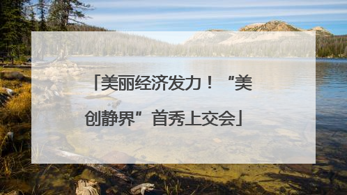 美丽经济发力！“美创静界”首秀上交会