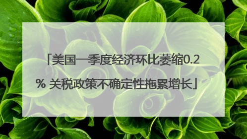 美国一季度经济环比萎缩0.2% 关税政策不确定性拖累增长
