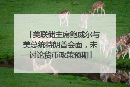 美联储主席鲍威尔与美总统特朗普会面，未讨论货币政策预期