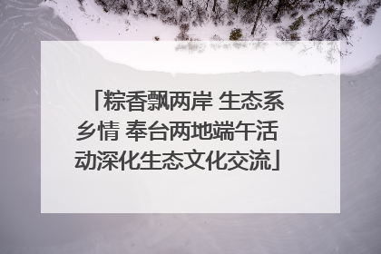 粽香飘两岸 生态系乡情 奉台两地端午活动深化生态文化交流