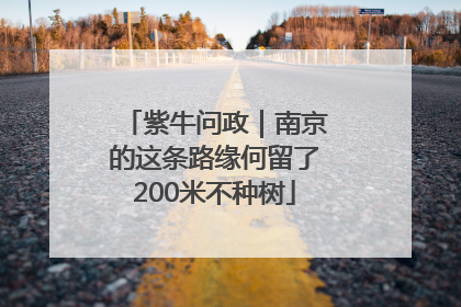 紫牛问政｜南京的这条路缘何留了200米不种树