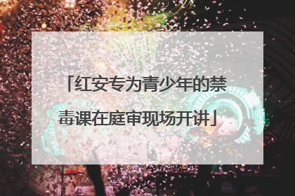 红安专为青少年的禁毒课在庭审现场开讲