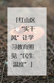 红山区：“实干风”让学习教育照见“民生温度”