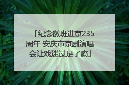纪念徽班进京235周年 安庆市京剧演唱会让戏迷过足了瘾