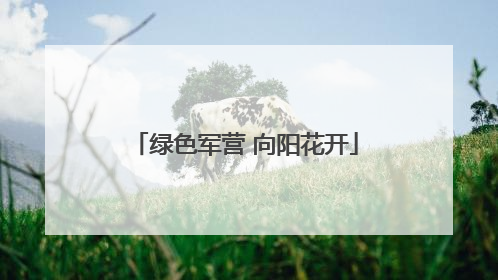 绿色军营 向阳花开