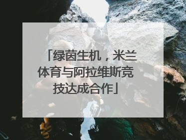 绿茵生机，米兰体育与阿拉维斯竞技达成合作