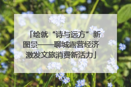 绘就“诗与远方”新图景——聊城露营经济激发文旅消费新活力