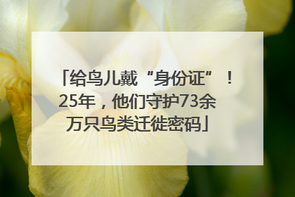 给鸟儿戴“身份证”！25年，他们守护73余万只鸟类迁徙密码