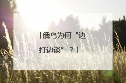 俄乌为何“边打边谈”？