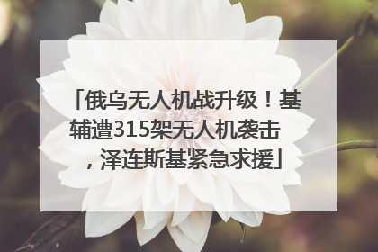 俄乌无人机战升级！基辅遭315架无人机袭击，泽连斯基紧急求援