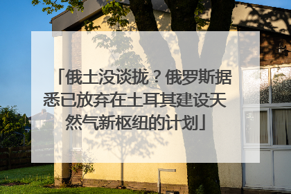 俄土没谈拢?俄罗斯据悉已放弃在土耳其建设天然气新枢纽的计划