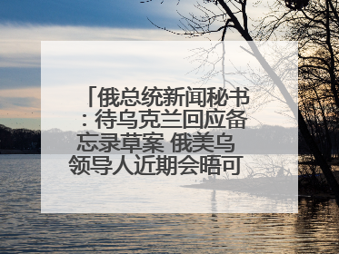 俄总统新闻秘书：待乌克兰回应备忘录草案 俄美乌领导人近期会晤可能性小