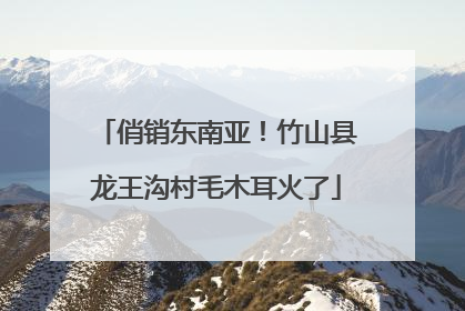 俏销东南亚！竹山县龙王沟村毛木耳火了