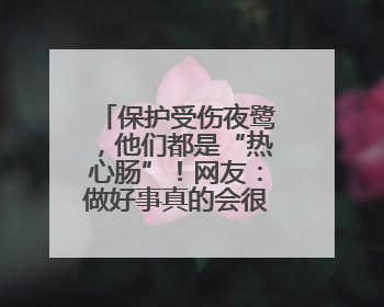 保护受伤夜鹭，他们都是“热心肠”！网友：做好事真的会很开心！