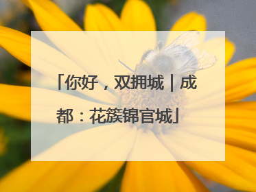 你好，双拥城｜成都：花簇锦官城