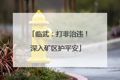 临武：打非治违！深入矿区护平安