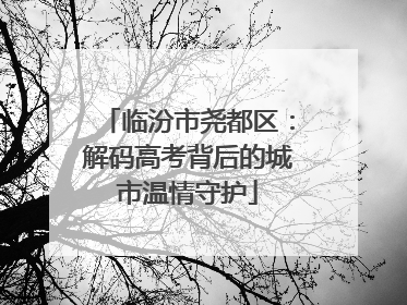 临汾市尧都区：解码高考背后的城市温情守护