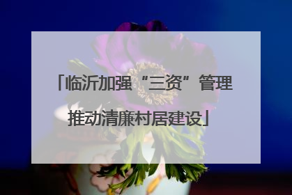临沂加强“三资”管理 推动清廉村居建设