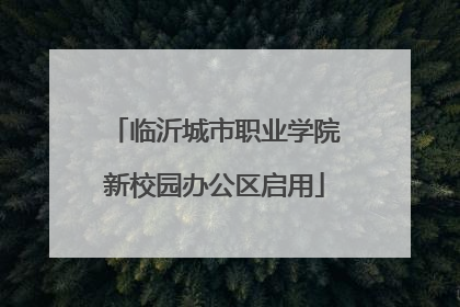 临沂城市职业学院新校园办公区启用