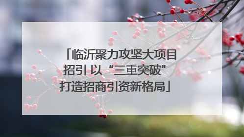 临沂聚力攻坚大项目招引 以“三重突破”打造招商引资新格局