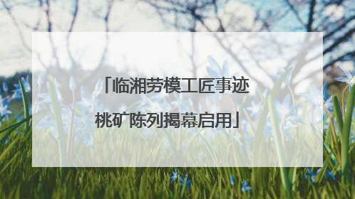 临湘劳模工匠事迹桃矿陈列揭幕启用
