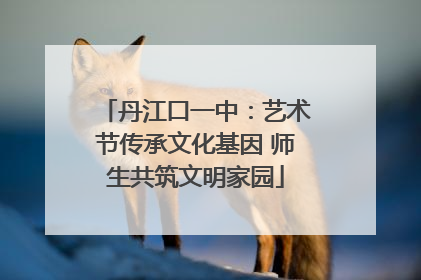 丹江口一中：艺术节传承文化基因 师生共筑文明家园