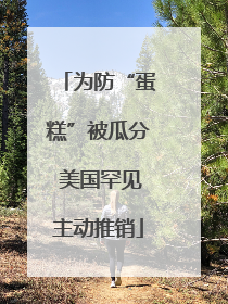 为防“蛋糕”被瓜分 美国罕见主动推销