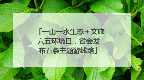 一山一水生态＋文旅 六五环境日，省会发布五条主题游线路