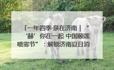 一年四季·泉在济南｜“‘赫’你在一起 中国颐莲喷雾节”：解锁济南夏日消费热潮中的国货新势力