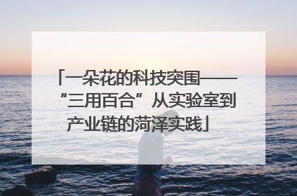 一朵花的科技突围——“三用百合”从实验室到产业链的菏泽实践