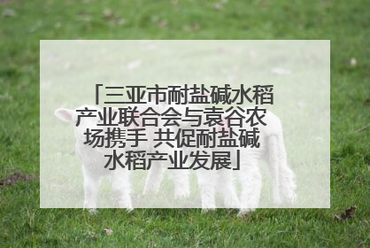 三亚市耐盐碱水稻产业联合会与袁谷农场携手 共促耐盐碱水稻产业发展