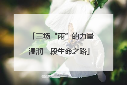 三场“雨”的力量温润一段生命之路