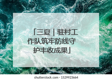 三夏｜驻村工作队筑牢防线守护丰收成果