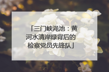 三门峡渑池：黄河水清岸绿背后的检察党员先锋队