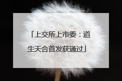 上交所上市委：道生天合首发获通过