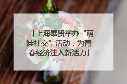 上海奉贤举办“萌娃社交”活动，为青春经济注入新活力
