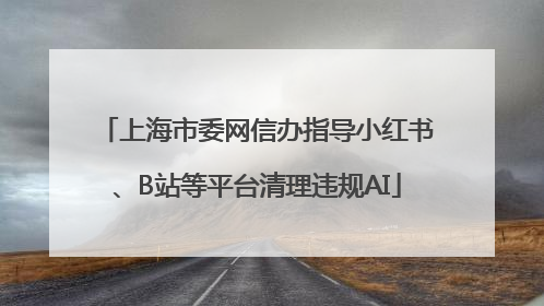 上海市委网信办指导小红书、B站等平台清理违规AI