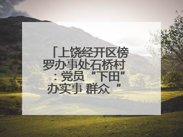 上饶经开区傍罗办事处石桥村：党员“下田”办实事 群众“点赞”笑开颜