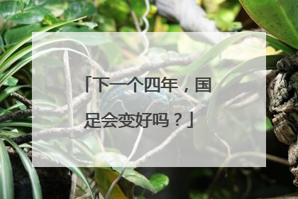 下一个四年，国足会变好吗？