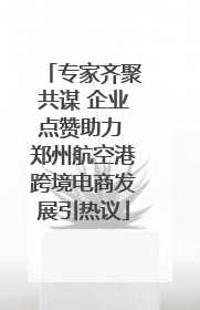 专家齐聚共谋 企业点赞助力 郑州航空港跨境电商发展引热议