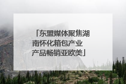 东盟媒体聚焦湖南怀化箱包产业 产品畅销亚欧美